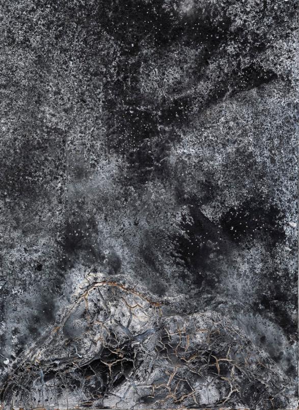 The Secret Life of Plants for Robert Fludd, Ансельм Кіфер