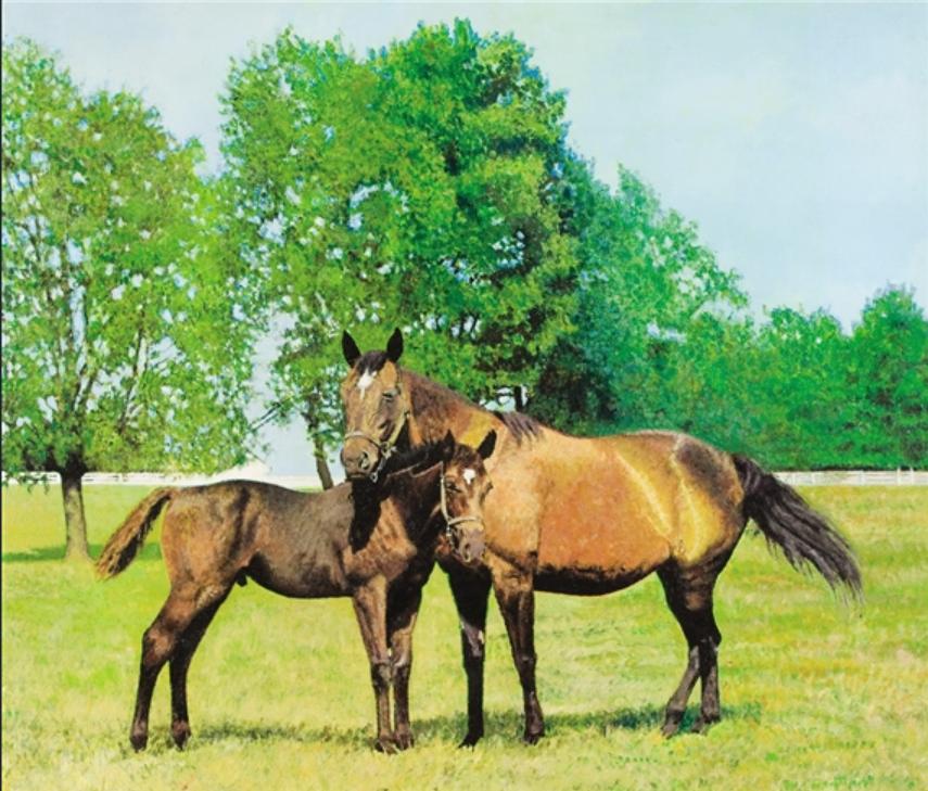 Коні, Малкольм Морлі, 1967